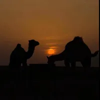 original sound - sidicksabourhassan