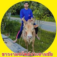 jo.2539.thanongsak