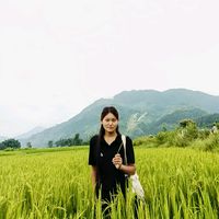 dimpla_same