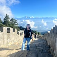 yang_01.1