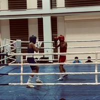 nurda.wins1