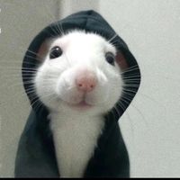 cnubrjbb