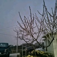 오리지널 사운드 - 인천,여수환이