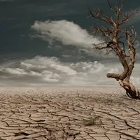 original sound - abdulrahmat46