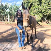 mayra.eduarda.ferreira_