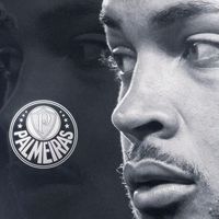s_e_palmeiras_