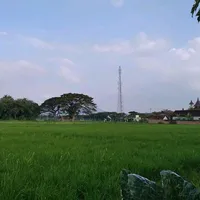 original sound - sayang.ku1117