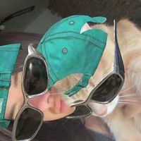 user122912021