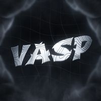 vasp711