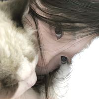 iuanhminhs1