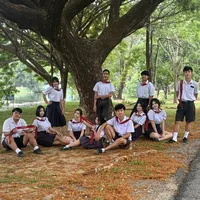 original sound - 6tub4stpsatreephangnga