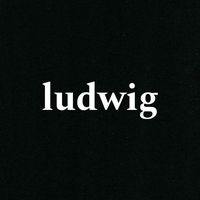 ludwig_style