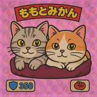 reform_shop