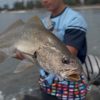 kizza.fishing