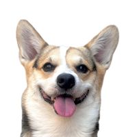 deokggggu