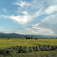 original sound - onon3175