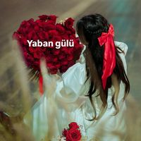 orijinal ses