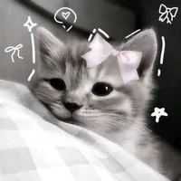 original sound - .elainee_