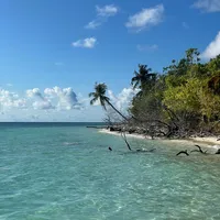 original sound - viewprofile3