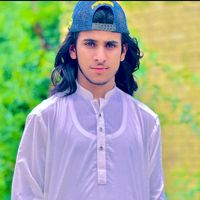 hamidpitafi984