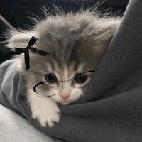 alina.bookss