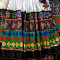 anjani.hojiyari.udhyog