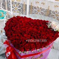 new_flowers_tm0