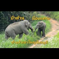 bualukbua8101