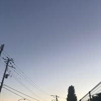 dorayakio0