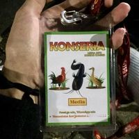 suara asli - Konseria