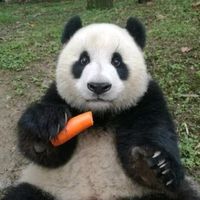 kdungcuti_day