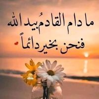 muhammed.hajo.8