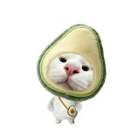 nphuong_ctez