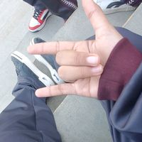 vanetm52