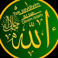 yusivf.313