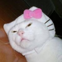 uraomoteyamaneko