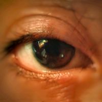 suara asli - Sylvoirr