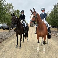 adele_dressage