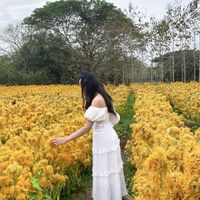 aling.chanthavong0