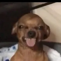 original sound - kentuttgorengbaladoo