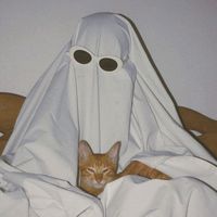 เสียงต้นฉบับ - ズäᄊムレåWム刀.アんö