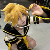 nekokan_umai