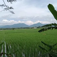 original sound - user_____123________