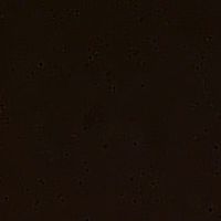 original sound - rushikesh kate