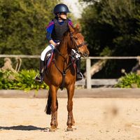heidiiandherponies