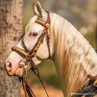 original sound - chmoon357