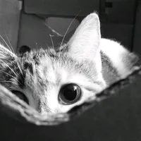 original sound - secretttyy11