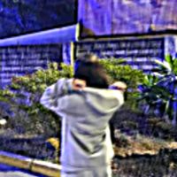 original sound - ༺✮ DANIELLA_MAE ✮༻