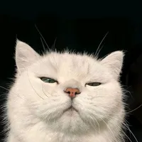 original sound - chan..3346