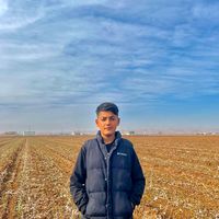 assaf6373